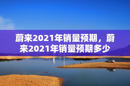 蔚来2021年销量预期，蔚来2021年销量预期多少