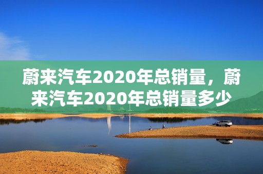 蔚来汽车2020年总销量，蔚来汽车2020年总销量多少