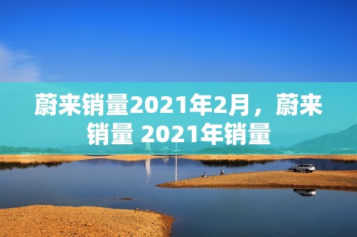 蔚来销量2021年2月，蔚来销量 2021年销量