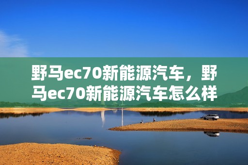 野马ec70新能源汽车，野马ec70新能源汽车怎么样