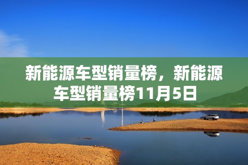 新能源车型销量榜，新能源车型销量榜11月5日