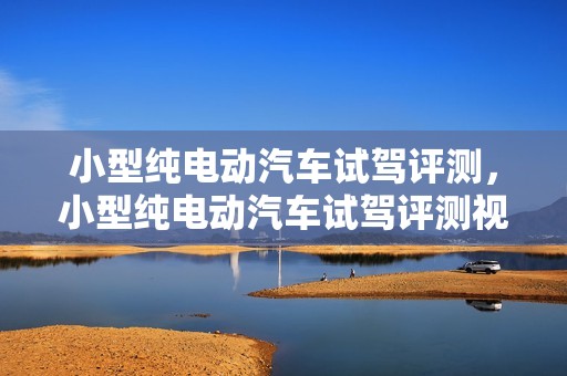 小型纯电动汽车试驾评测，小型纯电动汽车试驾评测视频