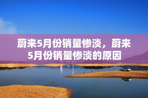 蔚来5月份销量惨淡，蔚来5月份销量惨淡的原因