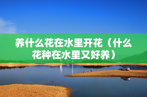 养什么花在水里开花（什么花种在水里又好养）