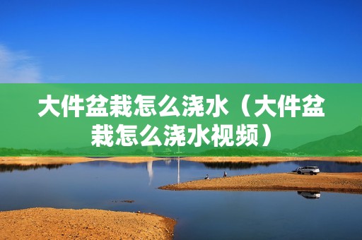 大件盆栽怎么浇水（大件盆栽怎么浇水视频）