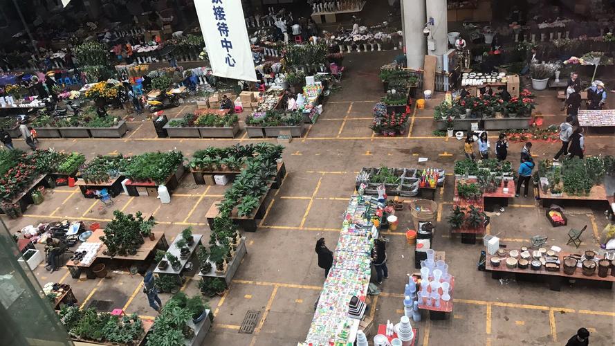 昆明花卉市场营业时间（昆明花卉大市场）