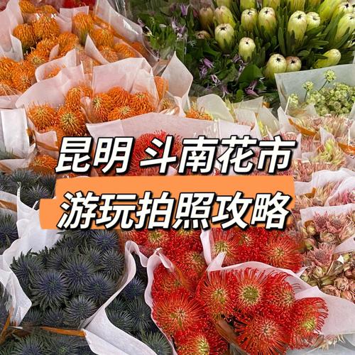 昆明花卉市场营业时间（昆明花卉大市场）