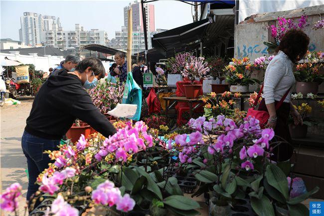 怎么投诉花卉市场（怎么投诉花卉市场商家）