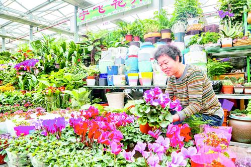 怎么投诉花卉市场（怎么投诉花卉市场商家）