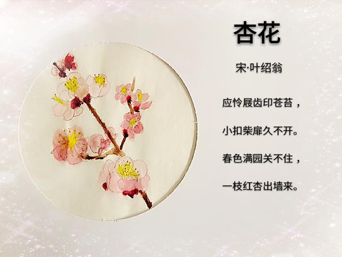 杏花关于花卉的诗（杏花花卉的相关诗句）