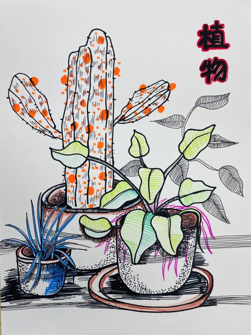 植物小盆栽线描（植物小盆栽线描画图片）