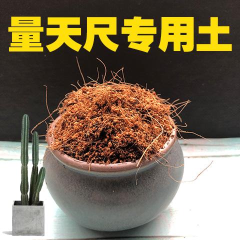 栽盆栽植物用什么土好（盆栽应该用什么土）