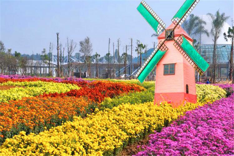 四川绵阳花卉基地在哪（绵阳花卉种植基地）