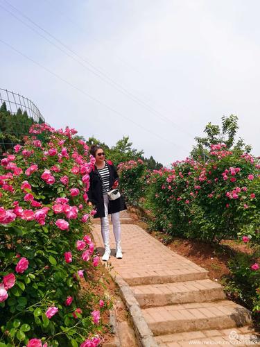 南充哪里有花卉基地（南充哪有花卉种植基地）