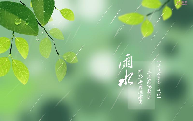 雨水增加什么肥（雨水肥力）