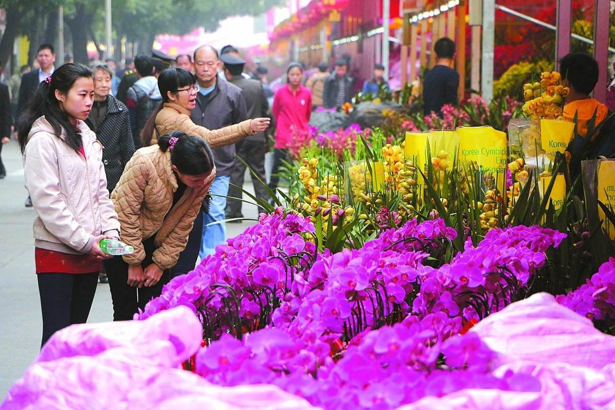 广州哪里的花卉便宜（广州哪里卖花便宜）