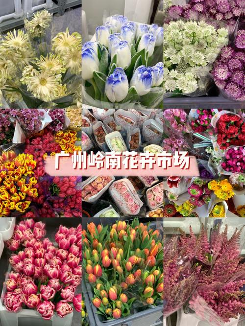 广州哪里的花卉便宜（广州哪里卖花便宜）