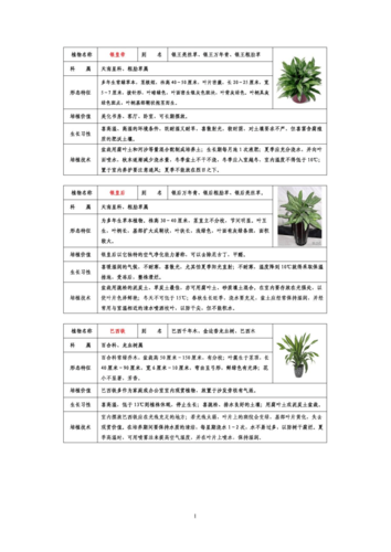 盆栽花卉养护方案（盆栽花卉养殖技术）