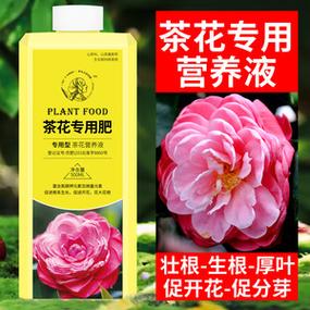 荼花施什么肥（荼花用什么肥料）