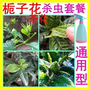 茶花上什么杀菌药（茶花用什么杀菌药）