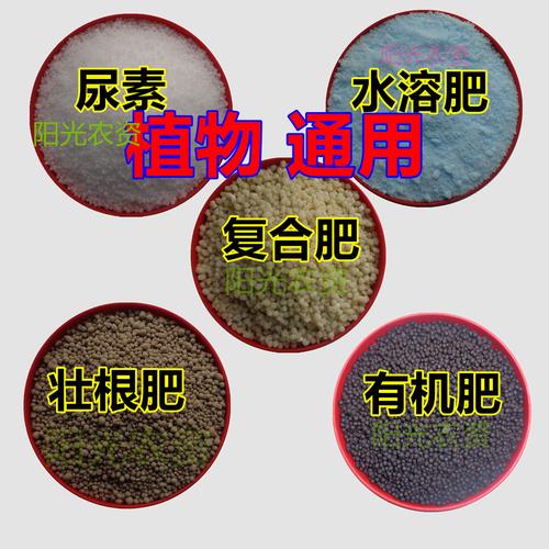 花卉肥名字（花卉肥料种类）