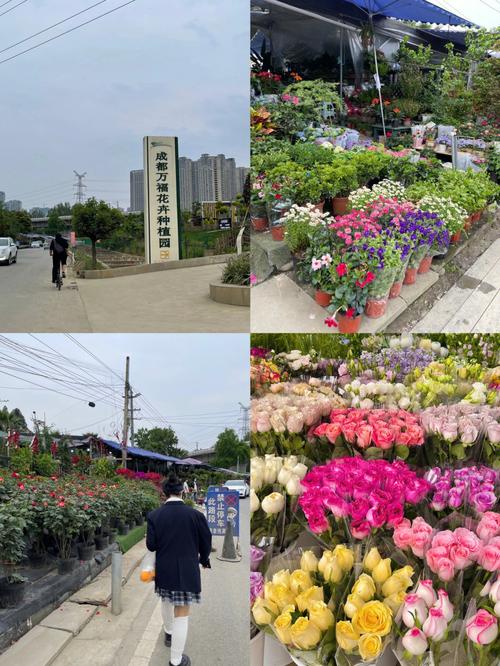 成都花卉销售电话-成都花卉批发市场电话