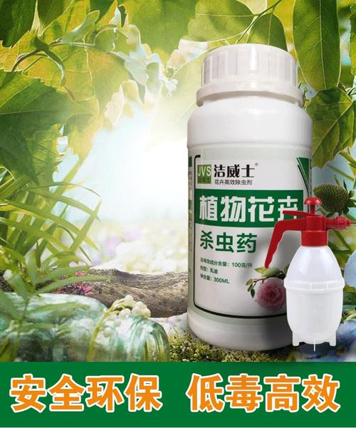 花卉防虫害喷什么好用-花卉防虫害喷什么好用一点