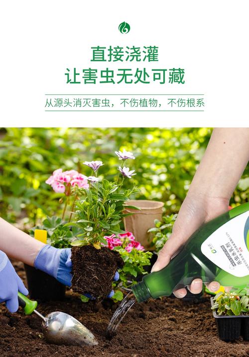 花卉防虫害喷什么好用-花卉防虫害喷什么好用一点