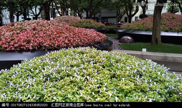 城市绿化花卉图片-城市绿化绘画作品