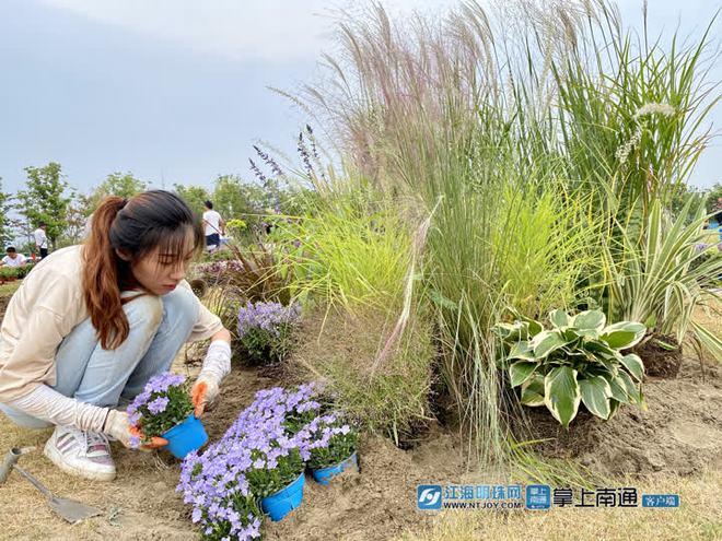 花卉这个行业怎么样-花卉行业有哪些职业