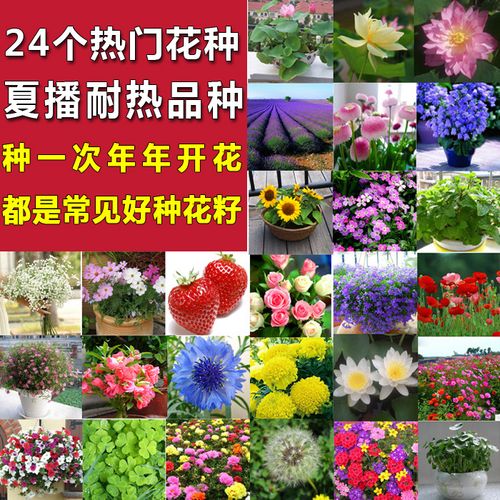 花卉种子春季几月播种-春季花卉时间