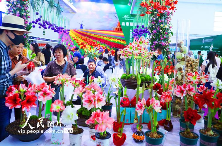 全国花卉展会相关部门-花卉愽览会