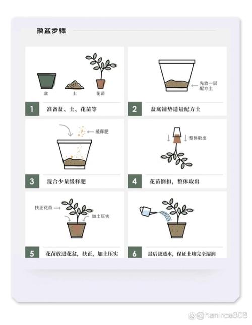 盆栽过程-盆栽的基本方法有哪些?